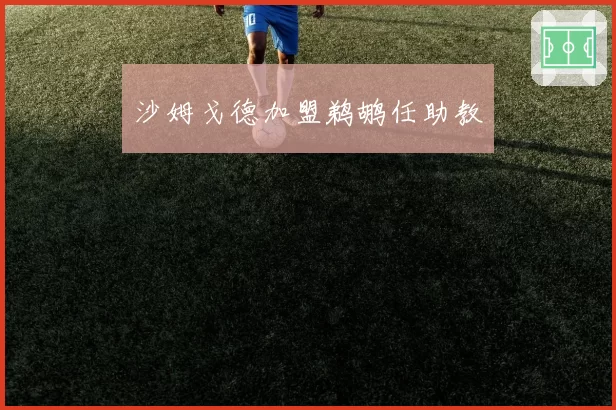 沙姆戈德加盟鹈鹕任助教