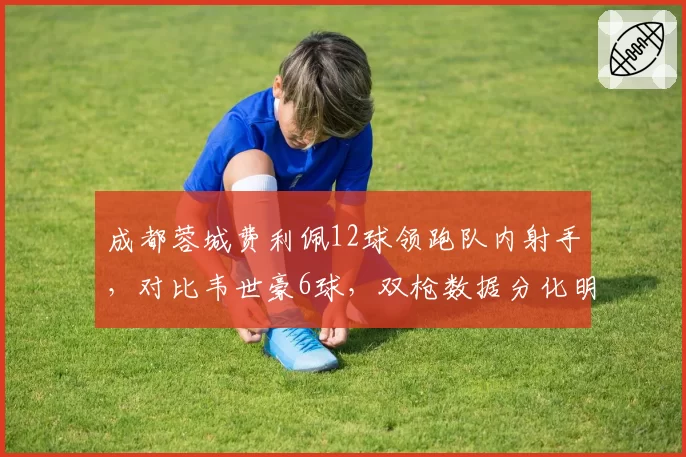 成都蓉城费利佩12球领跑队内射手，对比韦世豪6球，双枪数据分化明显
