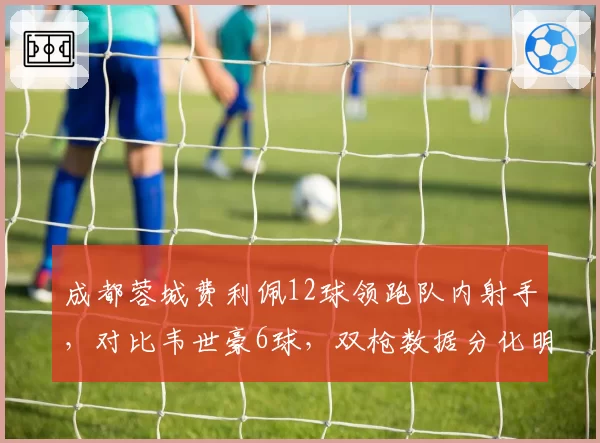 成都蓉城费利佩12球领跑队内射手，对比韦世豪6球，双枪数据分化明显